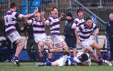Clongowes’ players react after William Kelly tackles Bernard Ibirogba in the air 8/2/2024