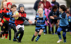 A view of the action at Dungarvan RFC 13/10/2024