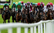 A view of the runners and riders in the fifth race of the day 17/11/2024