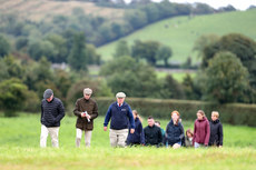 Racing fans take a walk through Killeen Stables 16/9/2023 