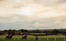 A view of the final race of the day 17/11/2024