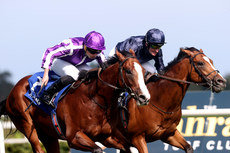 Diego Velazquez ridden by Ryan Moore and Capulet ridden by Seamie Heffernan in the closing stages 9/9/2023