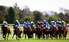 A view of The Adare Manor Opportunity Series Final Handicap Hurdle 1/5/2023