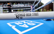 A view of Forged Irish Stout branding 17/5/2023 