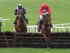 Danny Mullins on Home by the Lee wins 16/11/2024