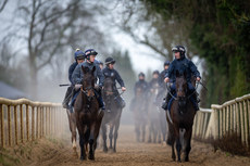 Sam Ewing on Romeo Coolio and Jack Kennedy on Brighterdaysahead lead a string of horses as they cool down on the gallops 18/11/2024