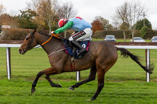 Miss Tempo, ridden by Mike O’Connor comes home to win 10/11/2024