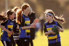 A view of the action at Balbriggan RFC 19/10/2024