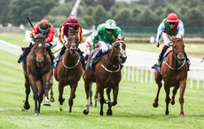 Chris Hayes (green silks) onboard Back Down Under comes home to win 28/6/2024