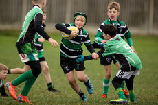 A view of the action at Dungarvan RFC 13/10/2024