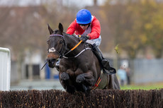 Darragh O’Keeffe on Quilixios comes home to win 10/11/2024