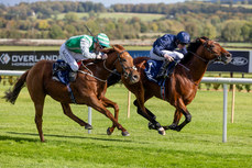 Gavin Ryan on Galveston wins The Irish Stallion Farms EBF Maiden 12/10/2024