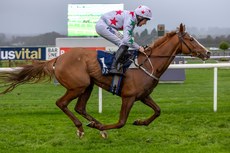 Declan Quigley on Carrigmoorenaspruce comes home to win 10/11/2024