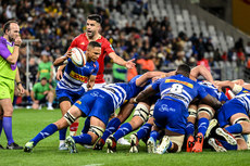 Conor Murray and Herschel Jantjies at the scrum 19/10/2024