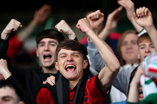 Cork City supporters celebrate 13/6/2024