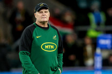 Rassie Erasmus 16/11/2024