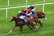 James Ryan onboard Courageous Strike comes home to win 28/6/2024