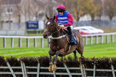 Ben Harvey on Lieutenant Mayne comes home to win 10/11/2024