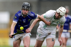 Colm Treacy and Tony Forristal 27/10/2024