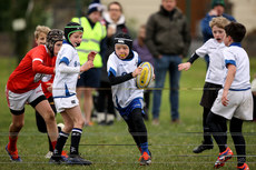 A view of the action at Dungarvan RFC 13/10/2024