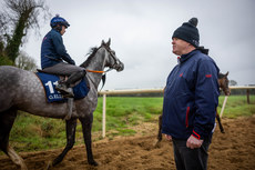 Gordon Elliott watches his string of horse on the gallops 18/11/2024