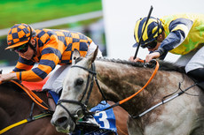 Jamie Powell onboard Golden Temple comes home to win 28/6/2024