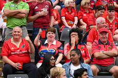 Munster fans during the game 26/10/2024