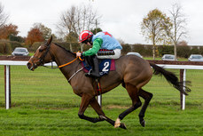 Miss Tempo, ridden by Mike O’Connor comes home to win 10/11/2024