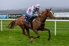 Declan Quigley on Carrigmoorenaspruce comes home to win 10/11/2024