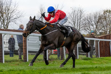 Darragh O’Keeffe on Quilixios comes home to win 10/11/2024