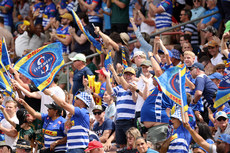 DHL Stormers fans 26/10/2024