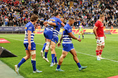 DHL Stormers celebrating winning the match 19/10/2024