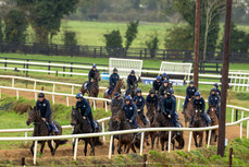 A view of Gordon Elliott’s string of horse on the gallops 18/11/2024