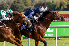 Gavin Ryan on Galveston wins The Irish Stallion Farms EBF Maiden 12/10/2024