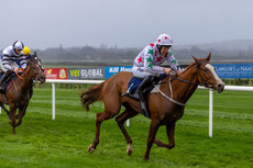 Declan Quigley on Carrigmoorenaspruce comes home to win 10/11/2024