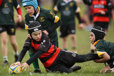 A view of the action at Dungarvan RFC 13/10/2024