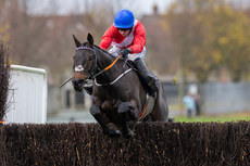 Darragh O’Keeffe on Quilixios comes home to win 10/11/2024