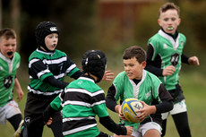 A view of the action at Dungarvan RFC 13/10/2024