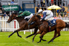 Dylan Browne McMonagle on Miracle Beauty wins The Irish Stallion Farms EBF Fillies Maiden 13/10/2024