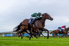 Dylan Browne McMonagle on Miracle Beauty wins The Irish Stallion Farms EBF Fillies Maiden 13/10/2024