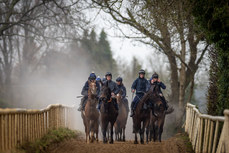 Sam Ewing on Romeo Coolio and Jack Kennedy on Brighterdaysahead lead a string of horses as they cool down on the gallops 18/11/2024