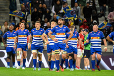 The Stormers team at the final whistle 19/10/2024