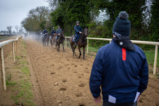 Gordon Elliott watches his string of horse on the gallops 18/11/2024