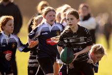 A view of the action at Balbriggan RFC 19/10/2024