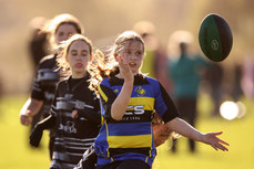 A view of the action at Balbriggan RFC 19/10/2024