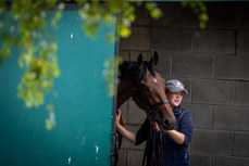 Grace Baker waits to show Lot. 360 on a viewing day 25/6/2024