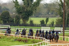 A view of Gordon Elliott’s string of horse on the gallops 18/11/2024