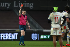 Eoghan Cross shows David Kriel a red card 12/10/2024