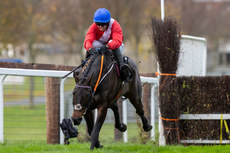 Darragh O’Keeffe on Quilixios comes home to win 10/11/2024