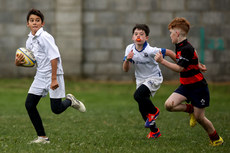 A view of the action at Dungarvan RFC 13/10/2024